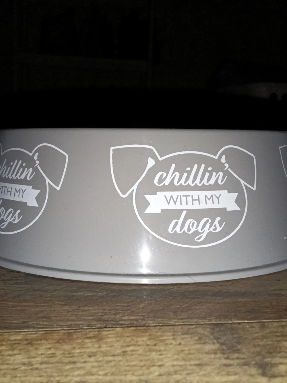 Gray Plastic Pet Dog Cat Water Food Bowl